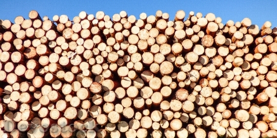 Devostock Wood Dry Industry 24701 4K