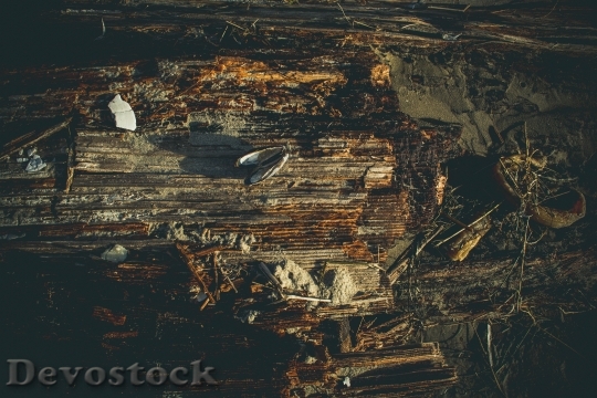Devostock Wood Light Dirty 14017 4K