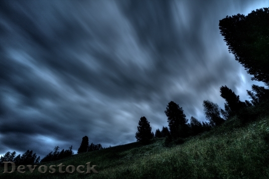 Devostock Wood Light Landscape 129248 4K
