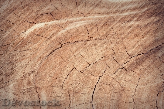 Devostock Wood Pattern Brown 17290 4K