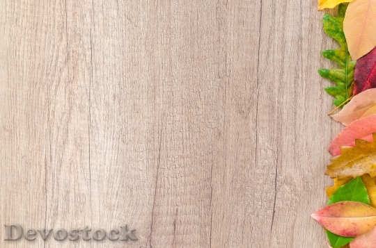 Devostock Wood Texture Leaves 62836 4K