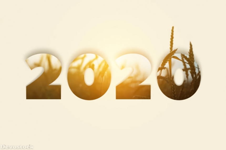 2020 New Year Design HD  (116)