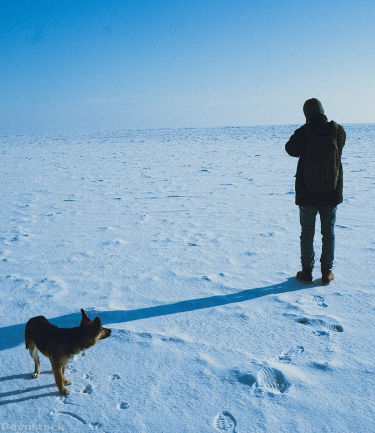 Devostock Animal Cold Daylight Man Snow Dog 4k
