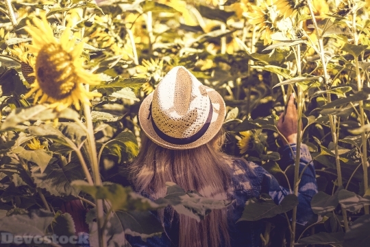 Devostock Blond Girl Hat Backside Sunflowers Field 4k