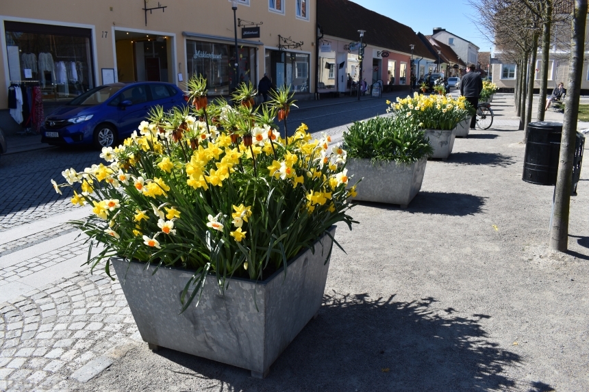 Devostock Exclusive Sweden Nature Skane Simrishamn Old Street Flowers Spring 4k