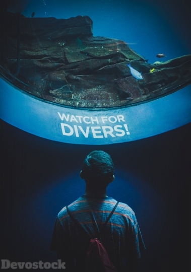 Devostock Lights Man Water Diver Watch Fish 4K.jpeg