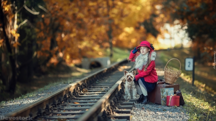 Devostock Little Girl Dog Nature Train Travel Waiting Autumn 4k