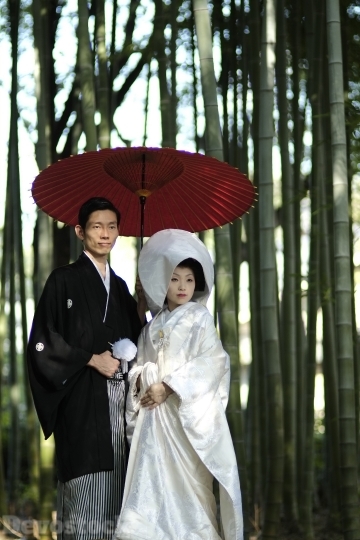 Devostock Marriage Tradition Japan Couples Bamboo Bride Groom 4k