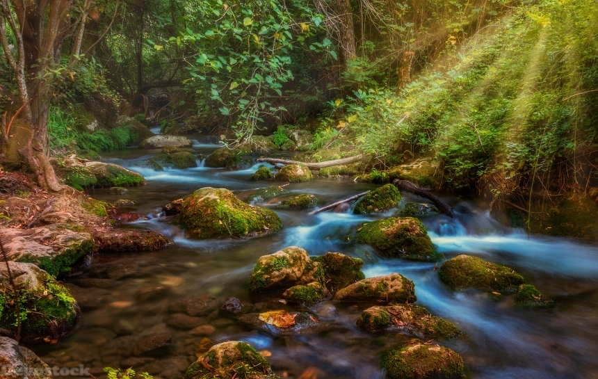 Devostock Nature Forests Stones Stream Water Rays Light Moss 4k