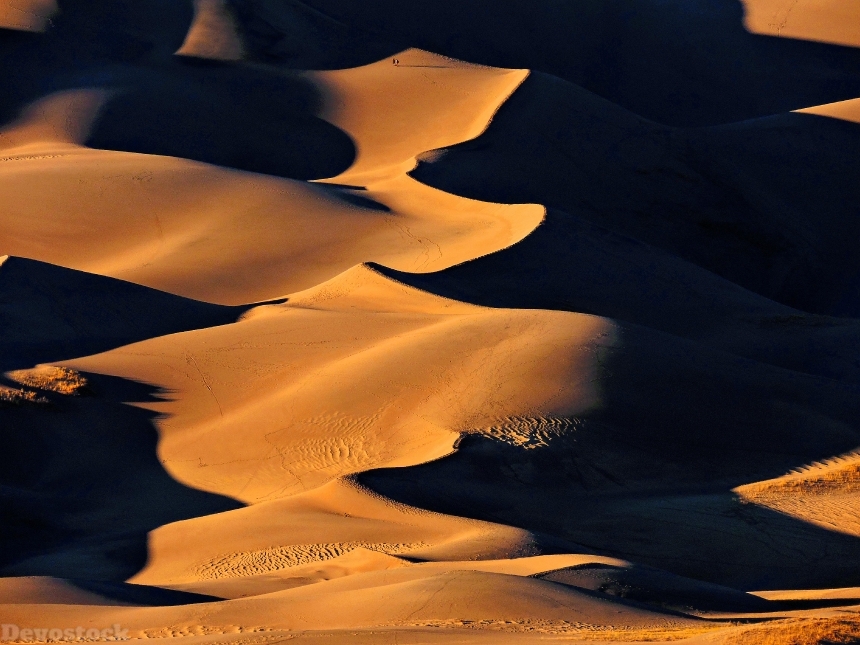 Devostock Nature Sand Dune Desert Park 4k
