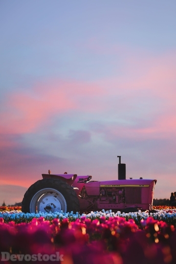 Devostock Nature Tractor Colorful Flowers 4K
