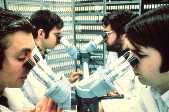 Devostock Pathologists Looking Into Microscopes 4k