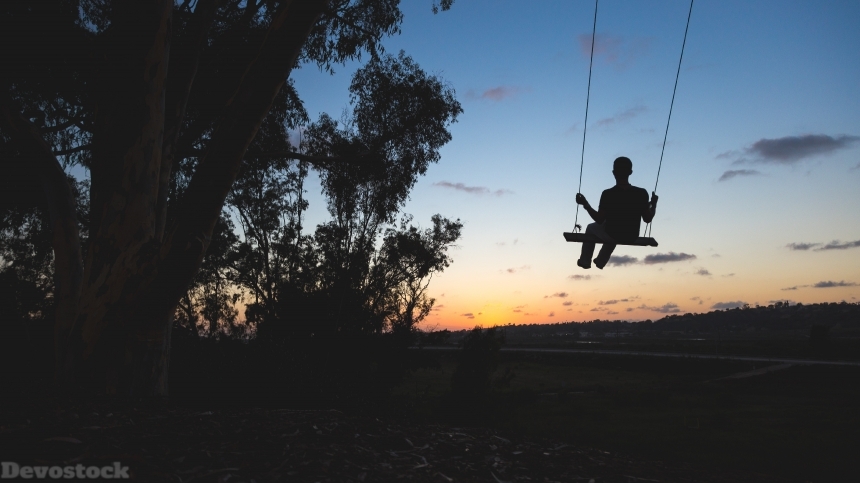 Devostock Person Sunset Playing Swinging Nature Trees 4k