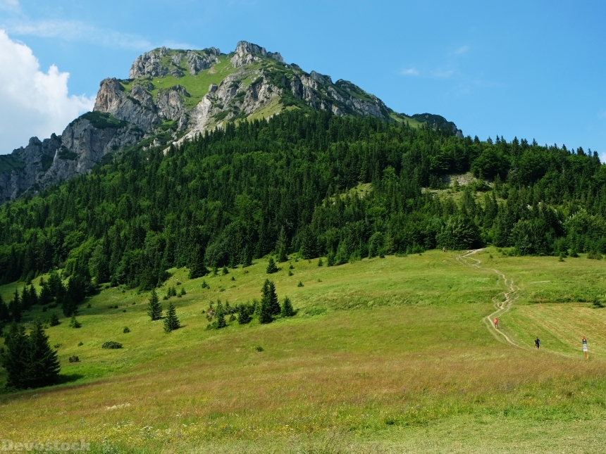 Devostock Slovakia Mountains Forests Grasslands Tatras 4k