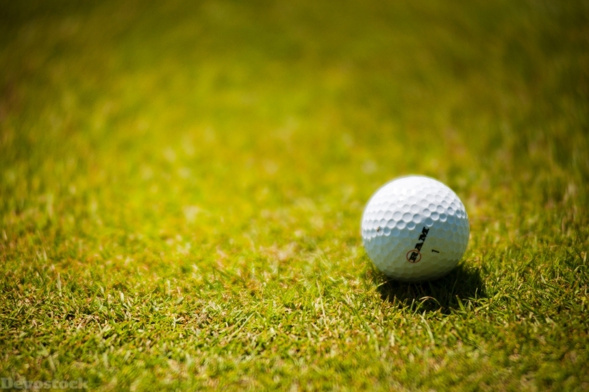 Devostock Sport Nature Grass Golf Ball 4k
