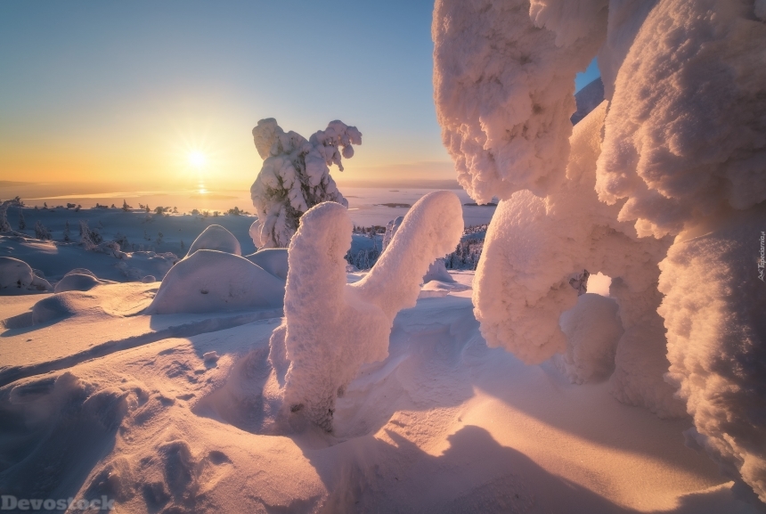 Devostock Trees In The Snow On The Background Of Kandalaksha Bay In Russi 4K