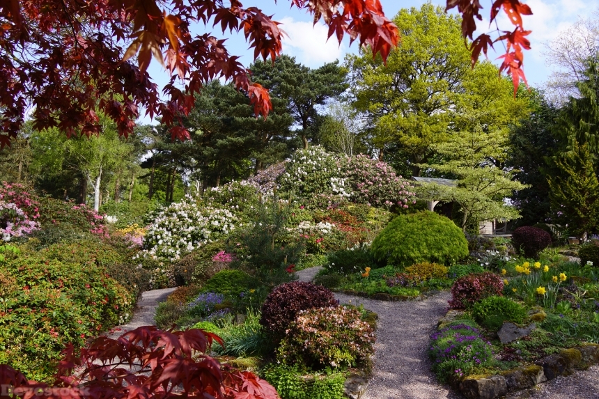 Devostock United Kingdom Gardens Lee Gardens Shrubs Trees 4K