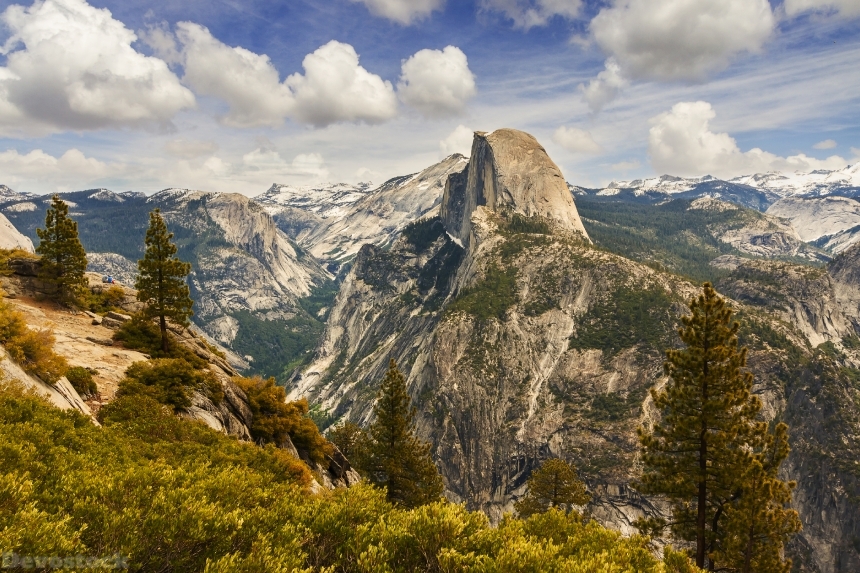 Devostock USA Parks Mountains Yosemite Spruce 4K