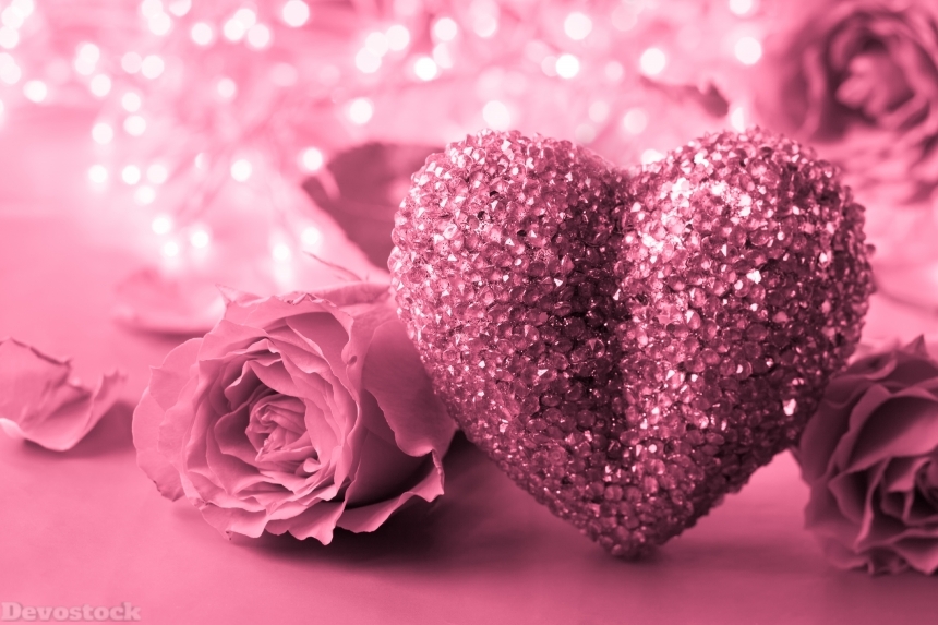Devostock Valentine Day Roses Pink Color Heart 4K