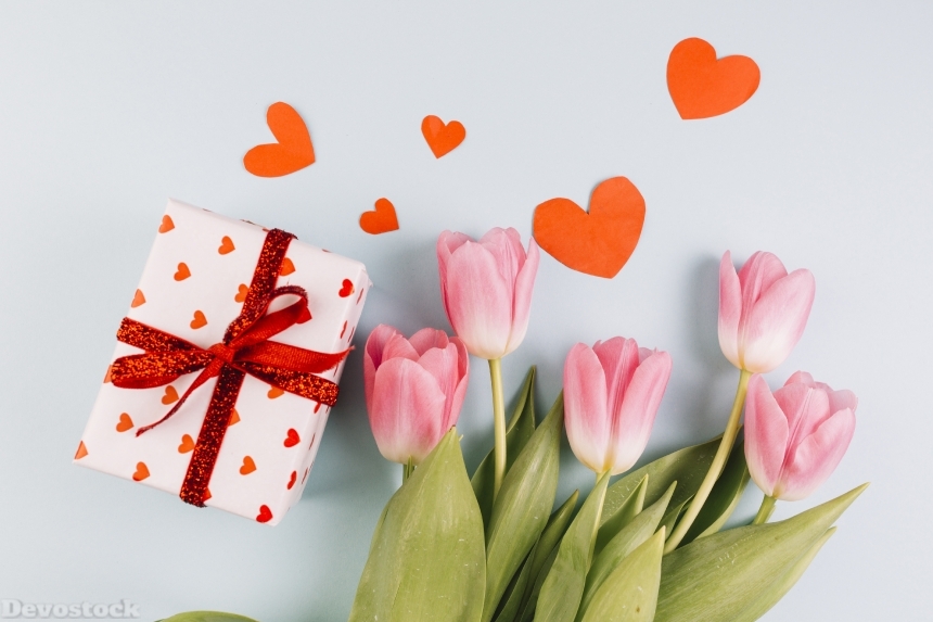 Devostock Valentine Day Tulips Gifts Heart 4K