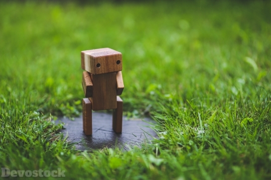 Devostock Wooden Robot Grass Lawn 4K