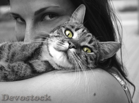 Devostock animals-cat-girl-happiness-39493.jpeg