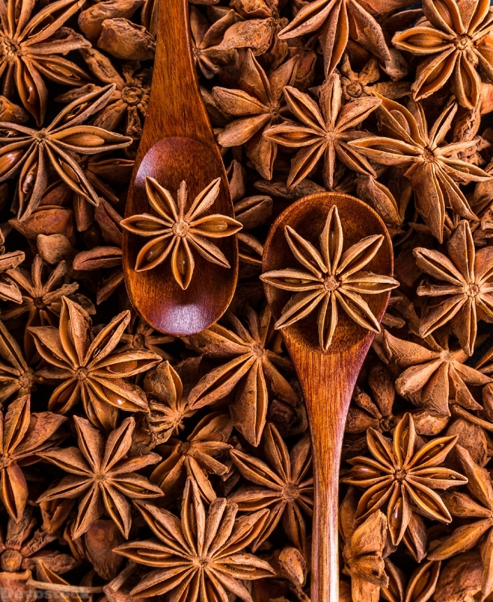 Devostock anise-spices-seeds-sprockets.jpeg