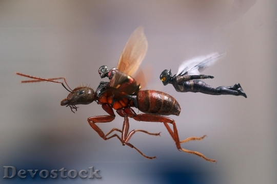 Devostock Ant-Man and the Wasp Movie HD download  (18)