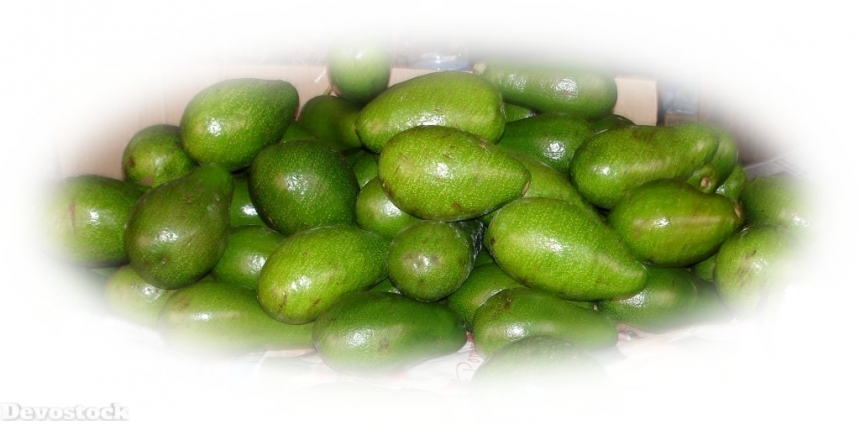 Devostock avocadofruits-dsc00696
