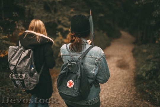 backpack-environment-forest-590798
