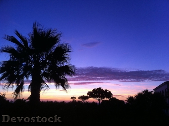 Devostock Beautiful sky view  (439)