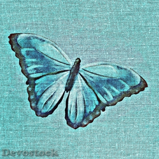 Devostock Butterfly colorful  (24)