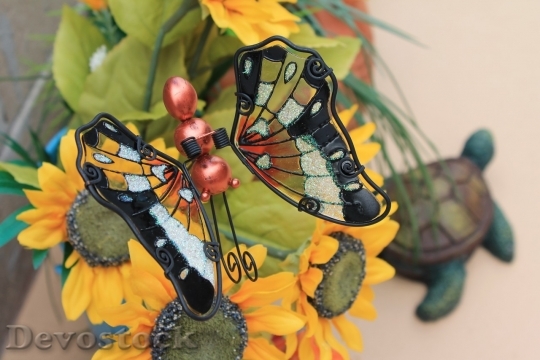 Devostock Butterfly colorful  (255)