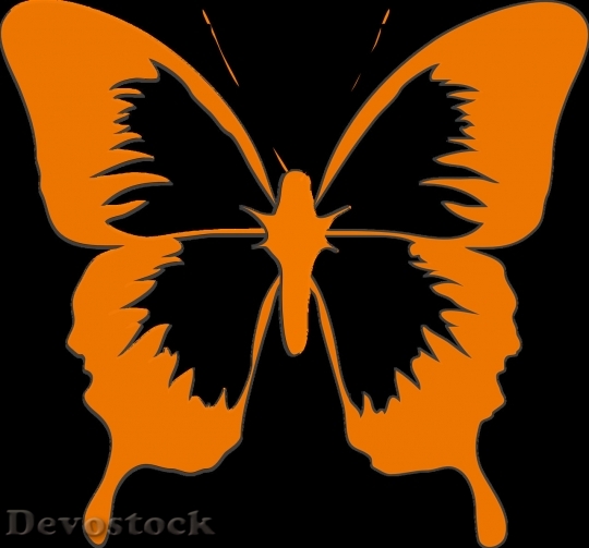 Devostock Butterfly colorful  (316)