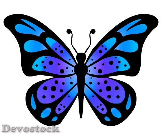 Devostock Butterfly colorful  (81)