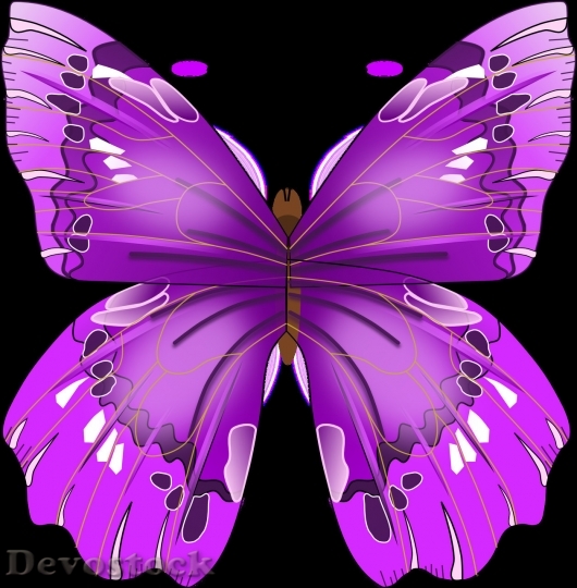 Devostock Butterfly colorful  (87)