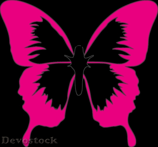 Devostock Butterfly colorful  (92)