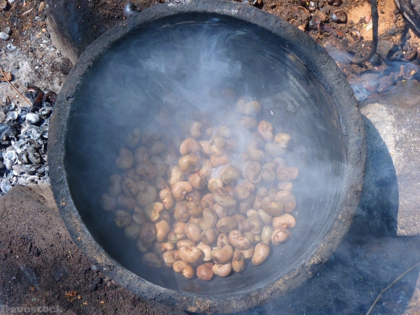 Devostock Cashew nuts  (52)