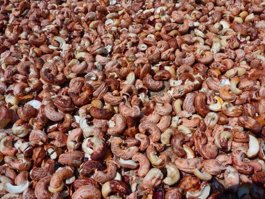 Devostock Cashew nuts  (54)