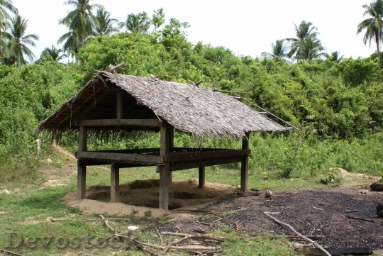Devostock coconut-dsc05918