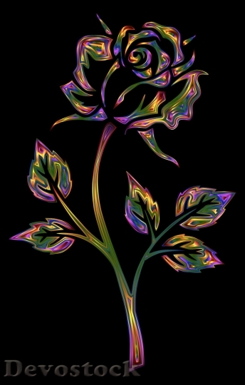 Devostock Colorful roses  (97)