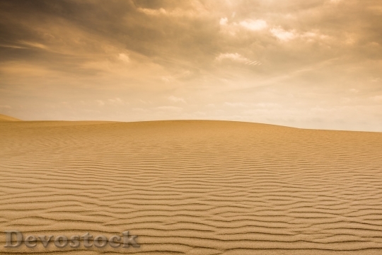 Devostock Desert beautiful image  (134)