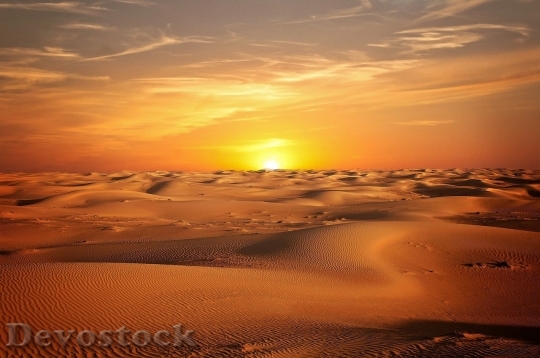 Devostock Desert beautiful image  (20)
