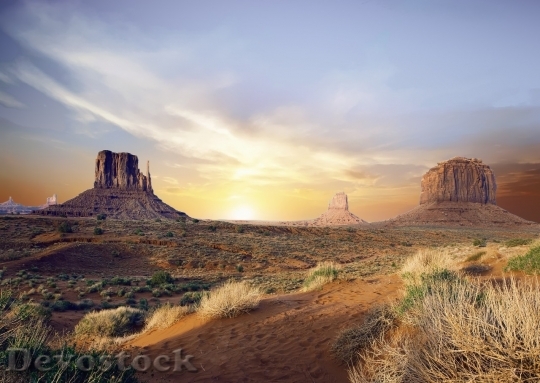 Devostock Desert beautiful image  (233)