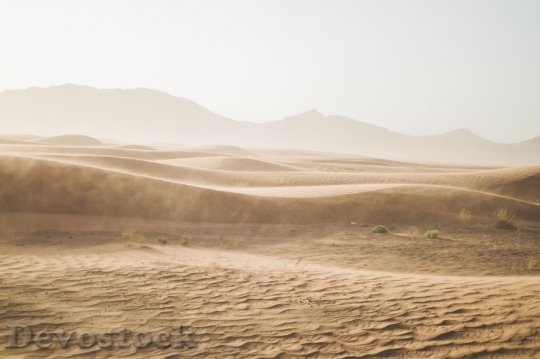 Devostock Desert beautiful image  (266)