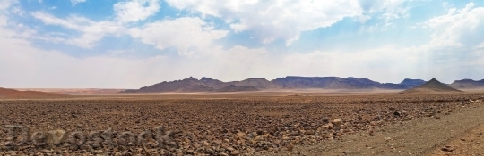 Devostock Desert beautiful image  (279)