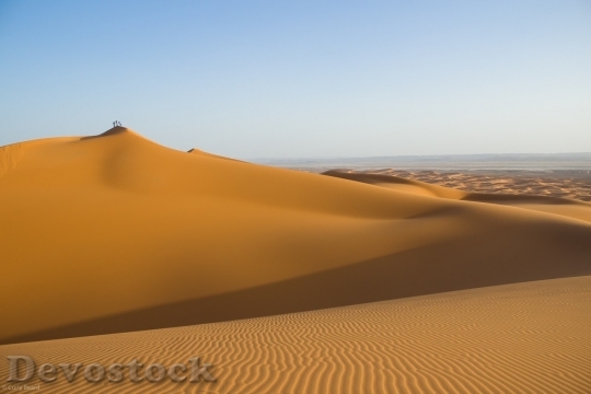 Devostock Desert beautiful image  (346)