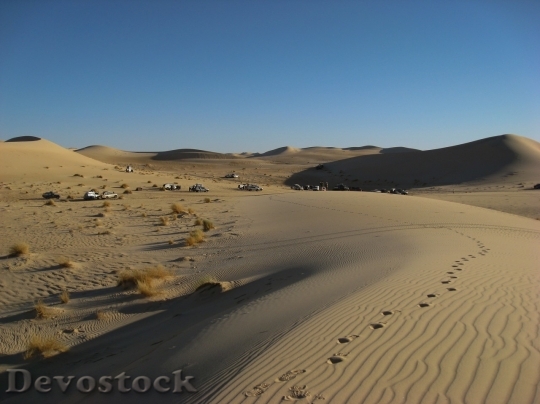 Devostock Desert beautiful image  (35)