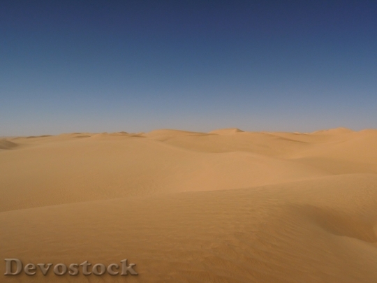 Devostock Desert beautiful image  (364)