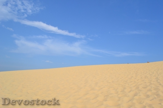 Devostock Desert beautiful image  (37)